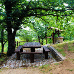 area_ristoro