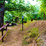area_ristoro4