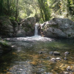 cascate